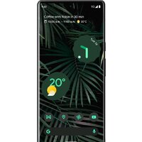 Google Pixel 6 8GB/256GB (черный) Image #2