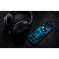 Sony Xperia 1 IV XQ-CT72 12GB/512GB (черный) Image #5